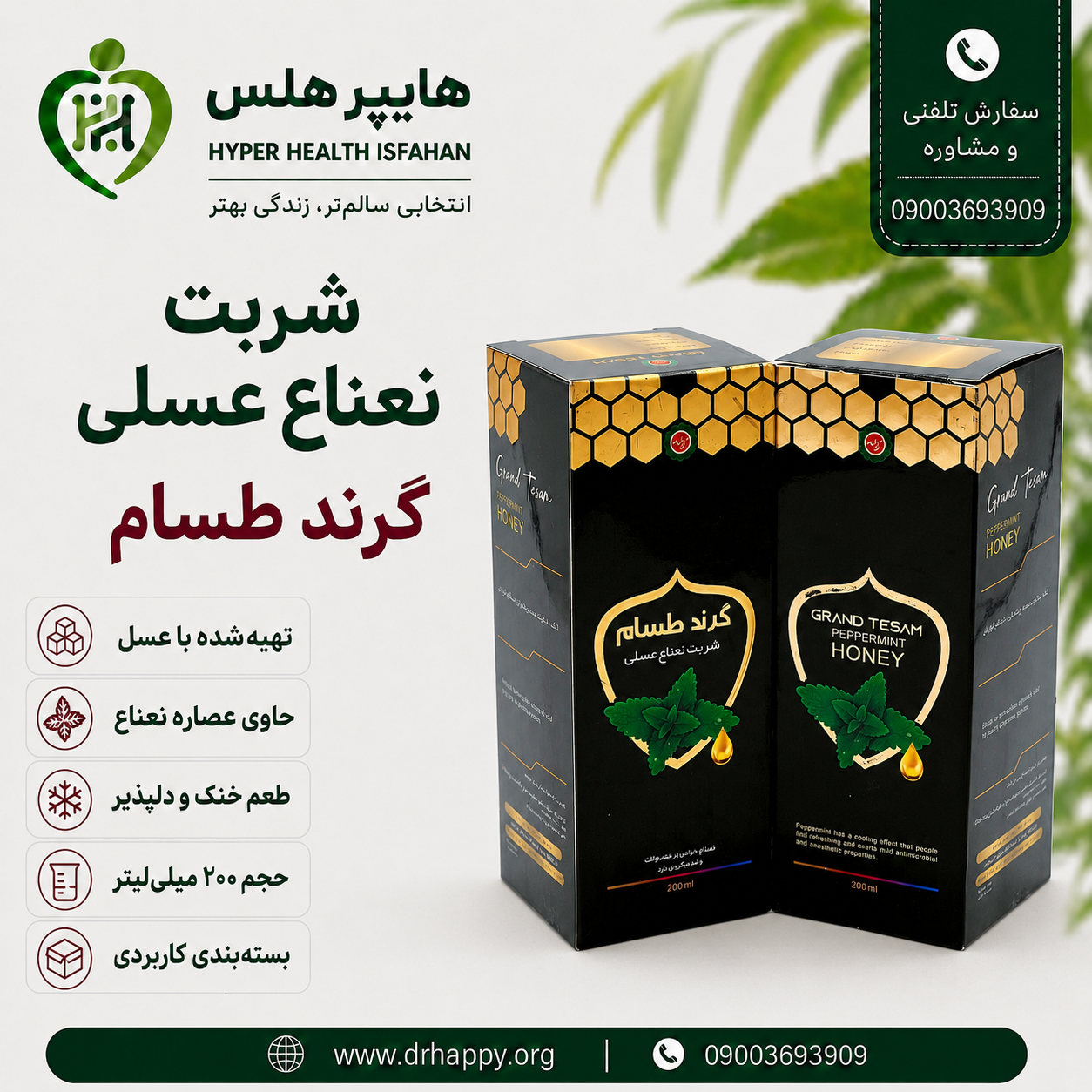 خرید شربت نعناع عسلی طسام شربت نعنا عسلی طسام ۲۰۰ میلیلیتر